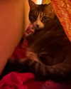 olivialiiias Altpins Profile Picture