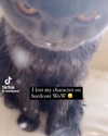 olivialiiias Altpins Profile Picture