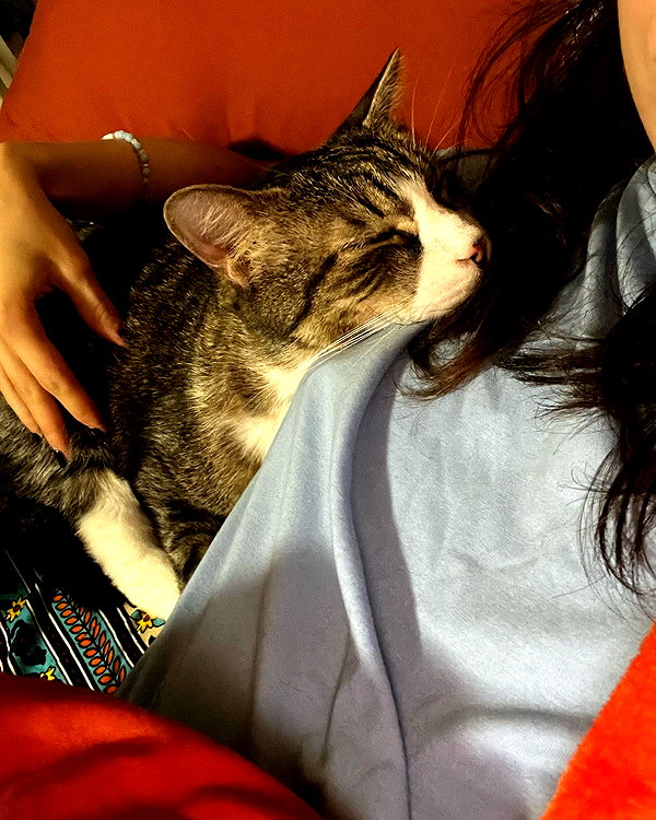 olivialiiias instagram image archive image