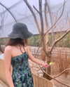 olivialiiias Altpins Profile Picture