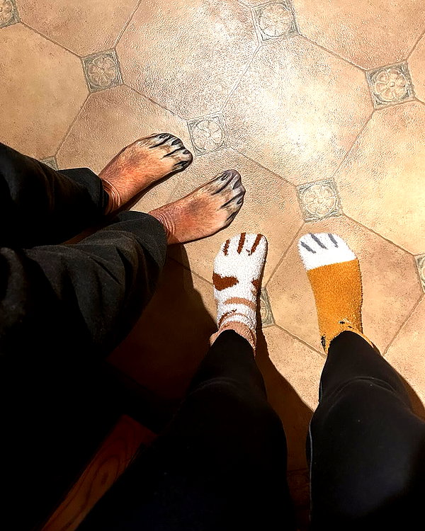 olivialiiias instagram image archive image
