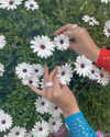 oliviaspasojevic Altpins Profile Picture