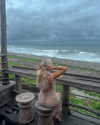 oliviaspasojevic Altpins Profile Picture