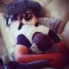 omer._shalom Altpins Profile Picture