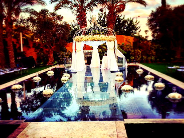 omer._shalom instagram image archive image