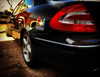 omer._shalom Altpins Profile Picture
