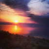omer._shalom Altpins Profile Picture