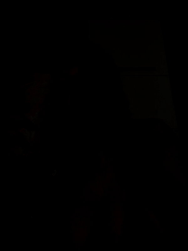 onlmeow instagram image archive image