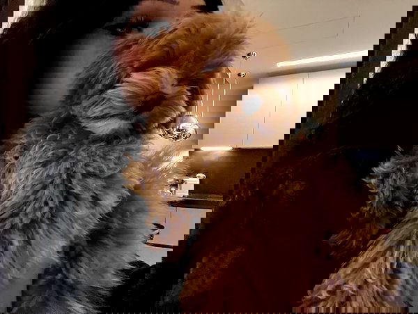 onlykrisssty onlykrisssty archive image