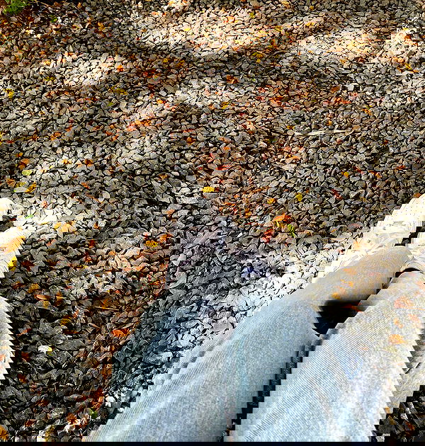 oqr0_ oqr0_ archive image