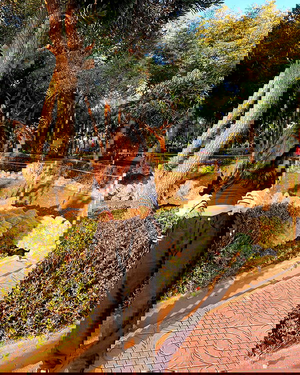 oqr0_ oqr0_ archive image