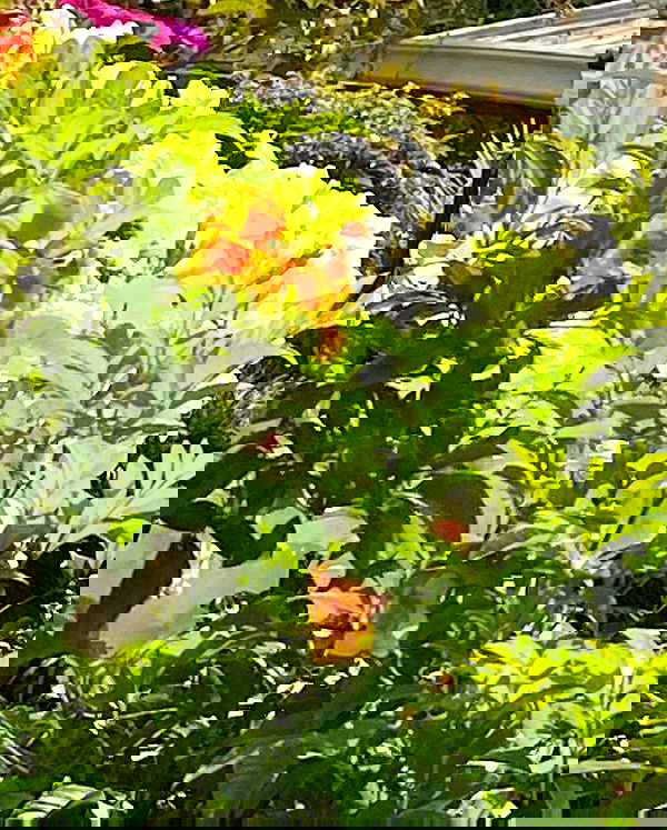 oqr0_ oqr0_ archive image