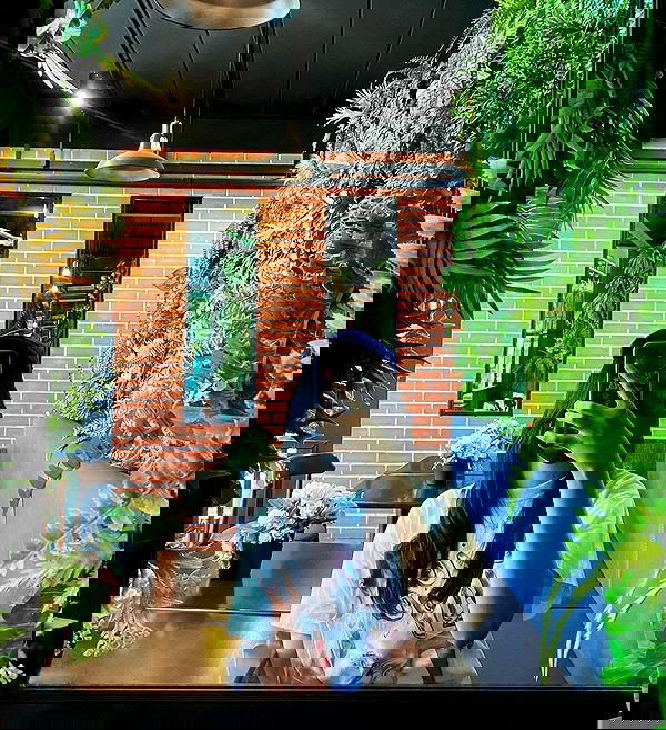 oqr0_ oqr0_ archive image