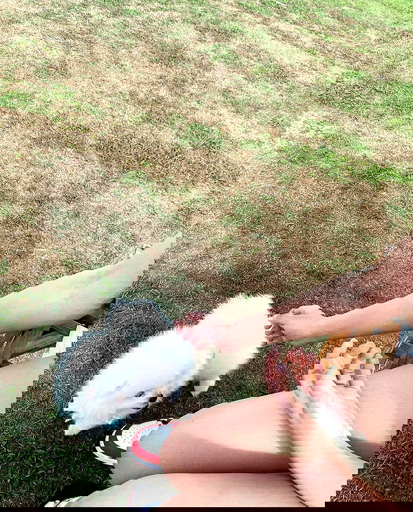 oqr0_ oqr0_ archive image