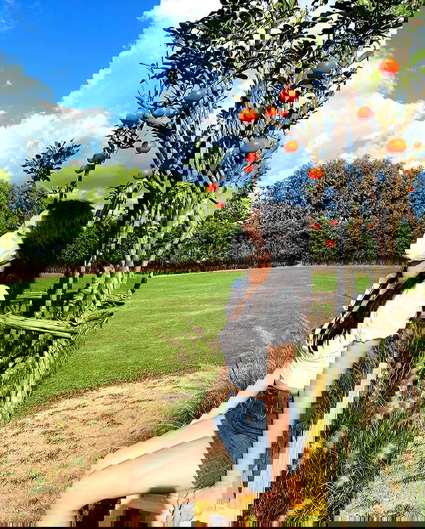 oqr0_ oqr0_ archive image