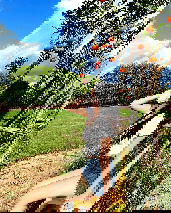 oqr0_ oqr0_ archive image