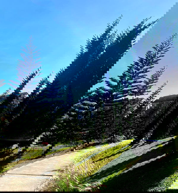 oqr0_ oqr0_ archive image