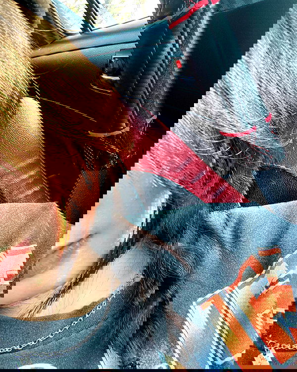 oqr0_ oqr0_ archive image