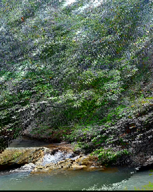 oqr0_ oqr0_ archive image