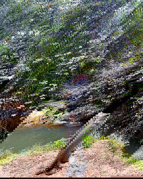 oqr0_ oqr0_ archive image