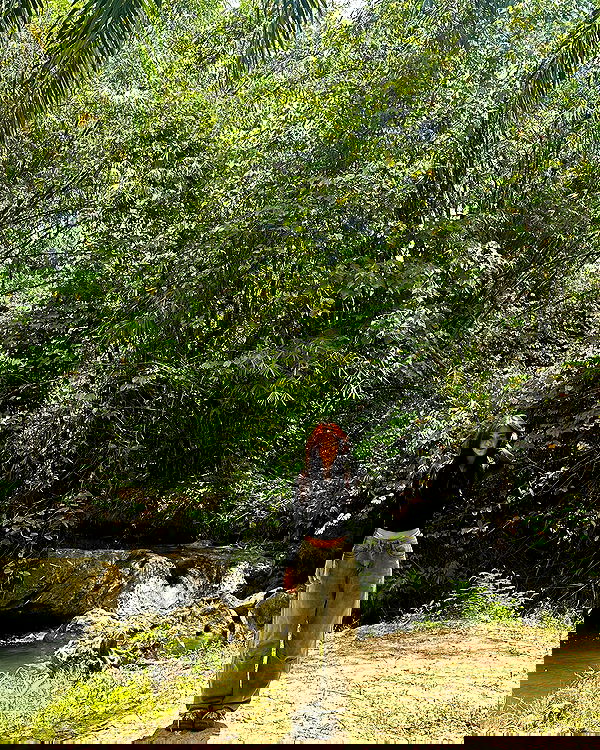 oqr0_ oqr0_ archive image