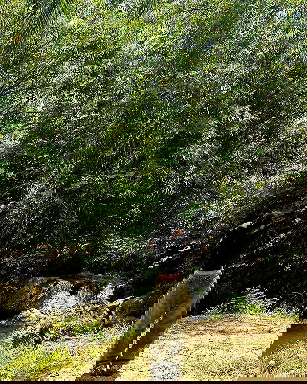 oqr0_ oqr0_ archive image