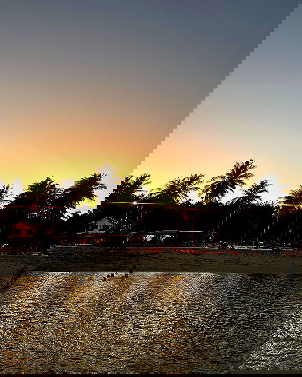 oqr0_ oqr0_ archive image