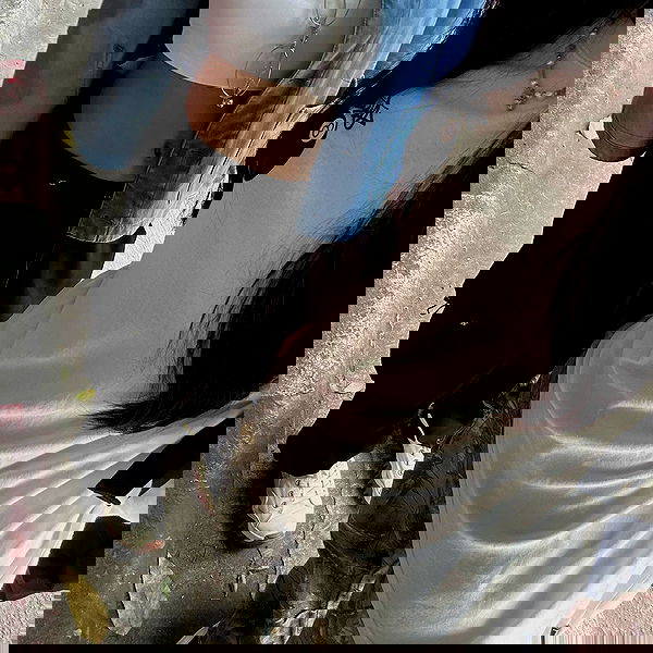 oqr0_ oqr0_ archive image