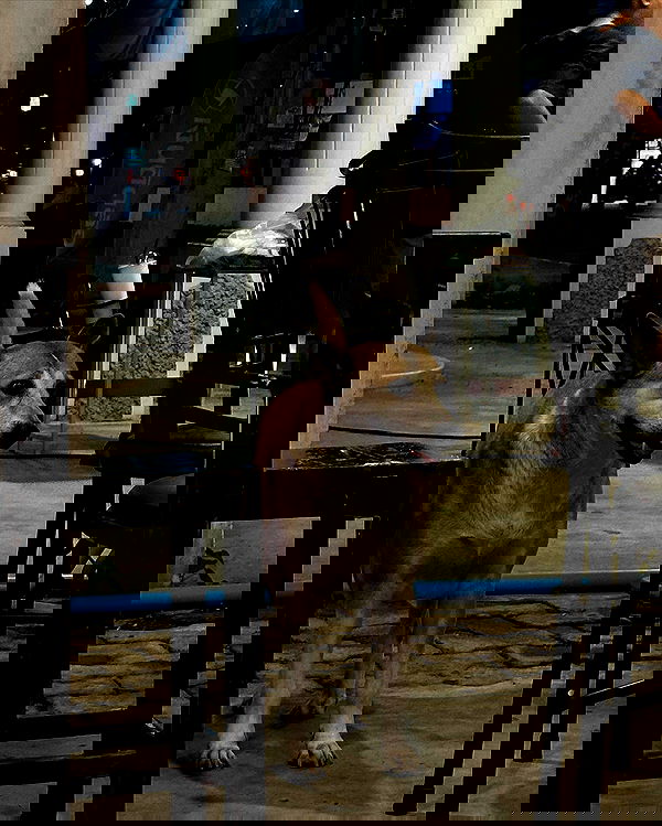 oqr0_ oqr0_ archive image