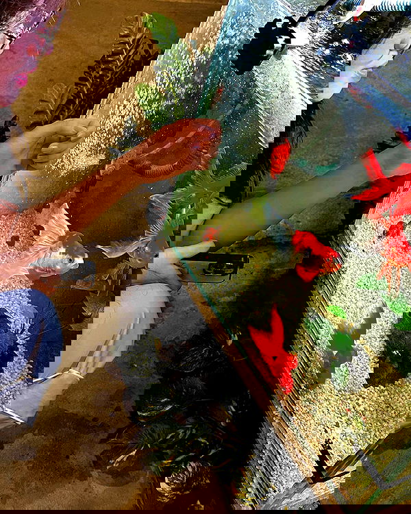 oqr0_ oqr0_ archive image