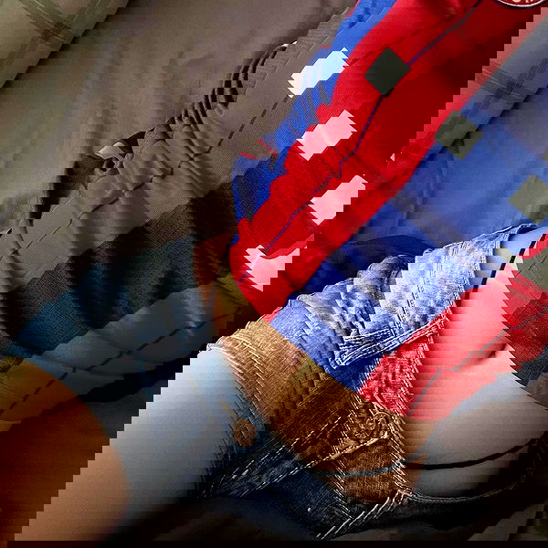 oqr0_ oqr0_ archive image