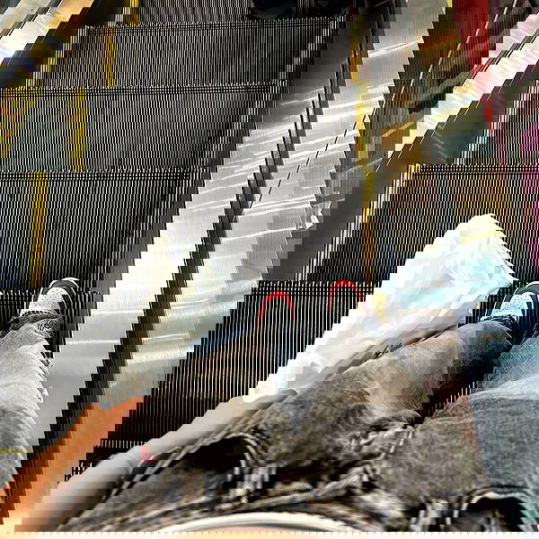 oqr0_ oqr0_ archive image