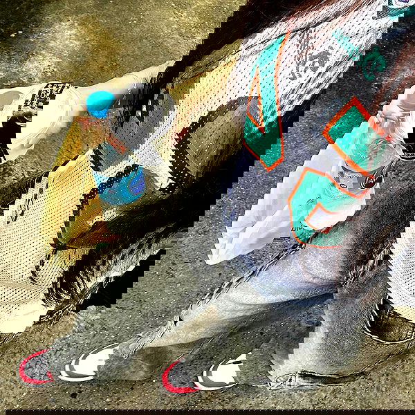 oqr0_ oqr0_ archive image