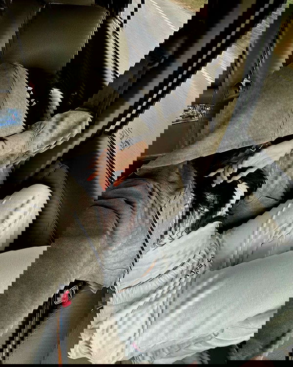 oqr0_ oqr0_ archive image