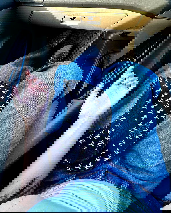 oqr0_ oqr0_ archive image