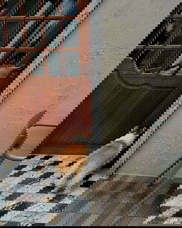 oqr0_ oqr0_ archive image