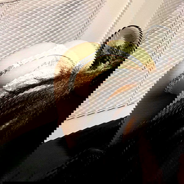 oqr0_ oqr0_ archive image