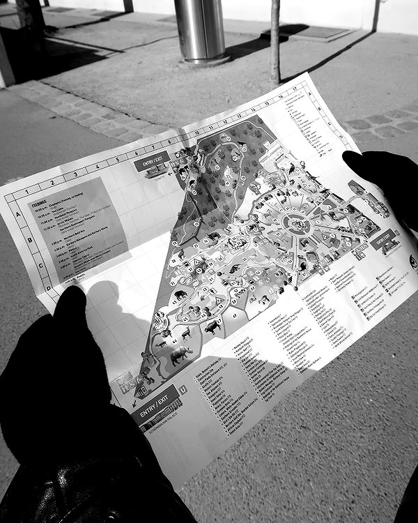 orcoheen instagram image archive image