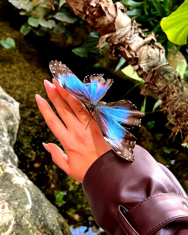 orcoheen instagram image archive image
