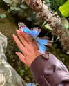 orcoheen Altpins Profile Picture