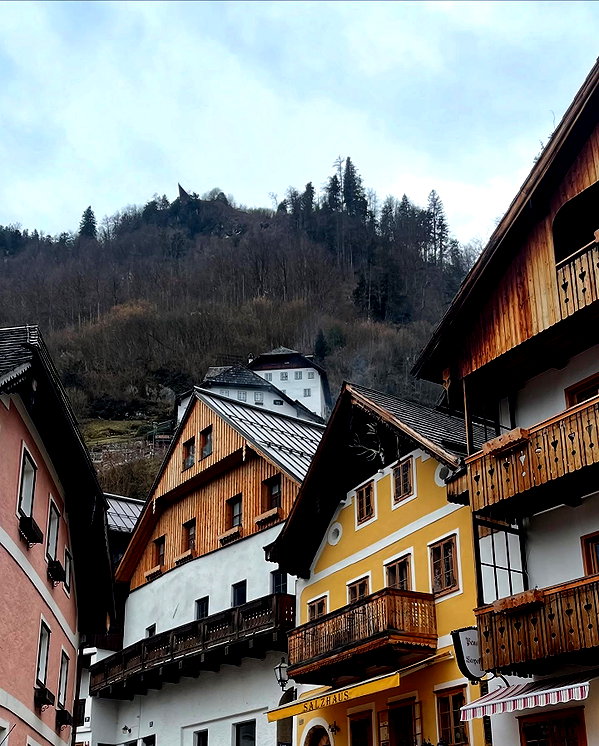 orcoheen instagram image archive image