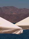 orcoheen Altpins Profile Picture