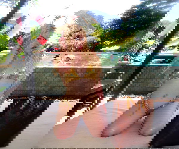 ormosheee ormosheee archive image