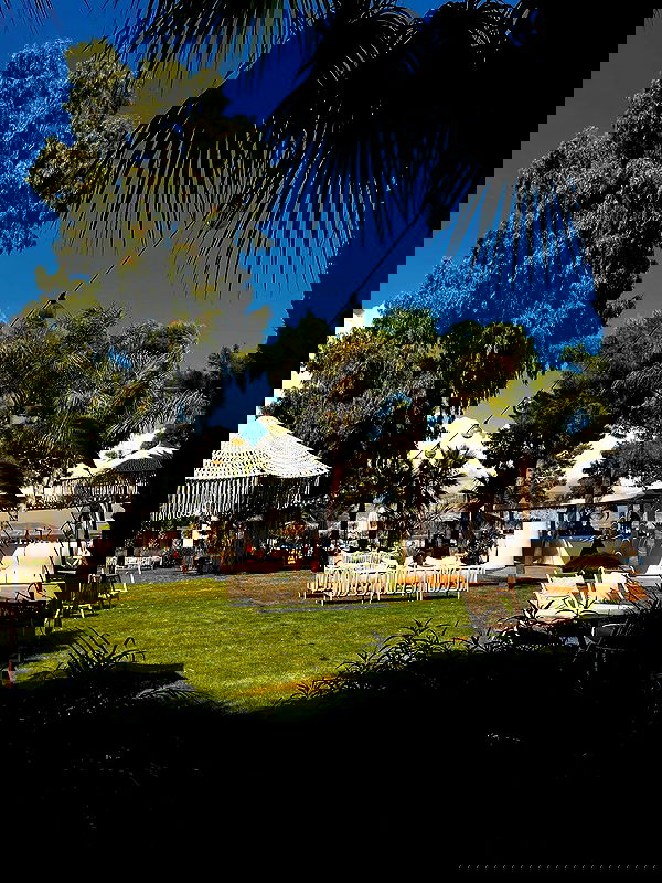 orya.xx image ~ Altpins