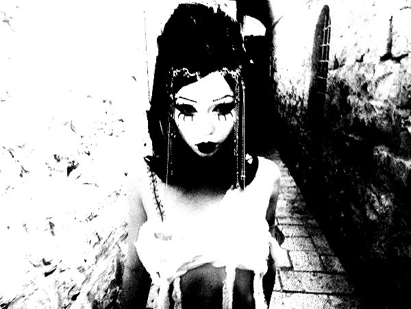 osher_yakir instagram image archive image