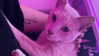 oxxmilks Altpins Profile Picture
