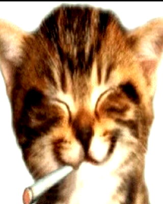 oxxmilks instagram image archive image