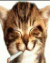 oxxmilks Altpins Profile Picture