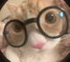 oxxmilks Altpins Profile Picture