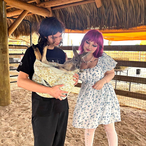oxxmilks instagram image archive image